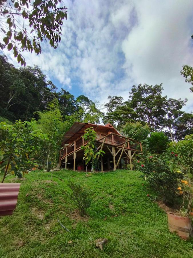 Alojamiento Natural La Cueva De Morgan San Rafael San Rafael (Antioquia) Exterior foto